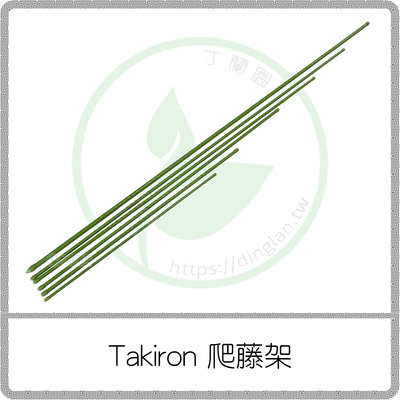 ﹝丁蘭園藝﹞Takiron 爬藤架 6尺 / 高品質 植物固定架 / 植物支撐架 / 植物支撐桿 / 葡萄架