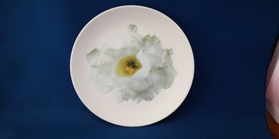[美]超美的英國名瓷WEDGWOOD餐盤BLOOMERS綠系列,全新品
