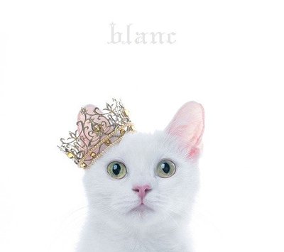 代購) 全新日本進口《BEST SELECTION "blanc"》CD+DVD 日版 (初回限定盤B) Aimer專輯
