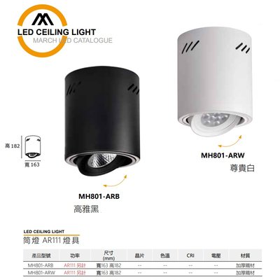 台北市樂利照明 MARCH AR111 吸頂筒燈空台 可調角度 黑/白 可搭配AR111 LED燈泡 MH801-ARB