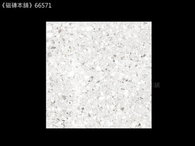 《磁磚本舖》水磨石 灰白色 66571 60*60cm 霧面 浴室 地壁可用 文青風