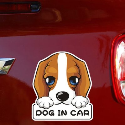 沛恩精品 DOG IN CAR卡通狗狗車尾貼紙 提示警告汽車貼紙 貼紙 立體貼紙 造型貼紙 個性貼紙 適用TOYOTA
