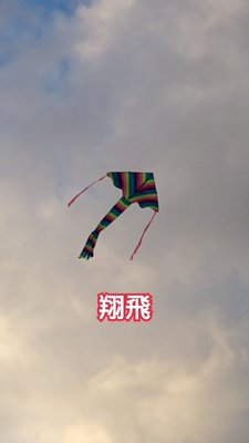 [翔飛戶外休閒] 台灣製造- 大彩虹風箏-造型風箏-尼龍布風箏 [直購下標區]