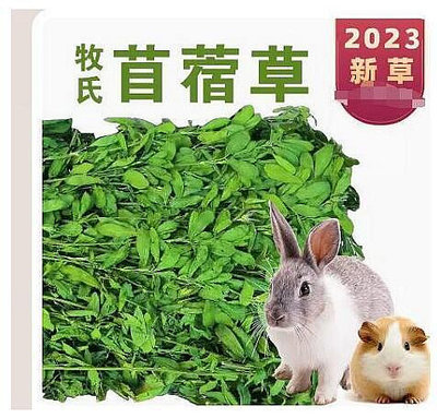 紫花苜蓿草新草幼兔糧飼料兔子用品豚鼠龍貓荷蘭豬糧食草幹草