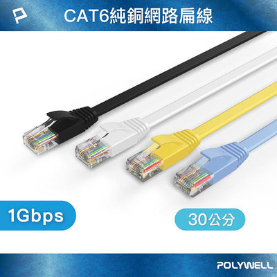 (現貨) 寶利威爾 CAT6扁線 30公分 高速網路線 RJ45 福祿克認證 POLYWELL