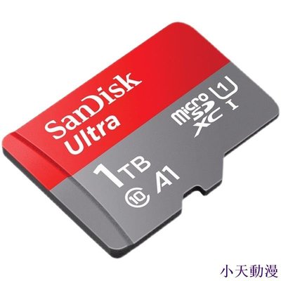 臺灣原廠公司貨 SanDisk Extreme 高速記憶卡 1TB MicroSD 256G Switch 手機