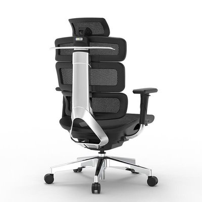 熱銷 Ergomax Evolution2 電腦椅人體工學椅家用電競椅辦公椅子靠背椅可開發票