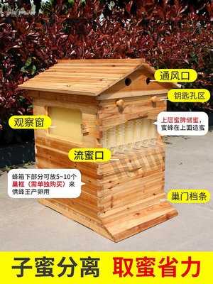 自流蜜蜂箱杉木煮蠟蜜蜂箱自動流蜜裝置全套新品養蜂專用工具包郵台北有個家