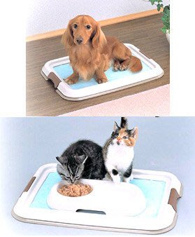 日本IRIS狗便盆FT-650平面式狗尿盆共有3種顏色☆米可多寵物精品☆