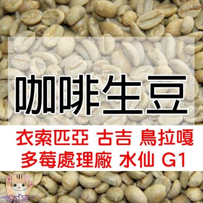 1kg生豆 衣索匹亞 古吉 鳥拉嘎 多莓處理廠 水仙 G1 - 世界咖啡生豆《咖啡生豆工廠×尋豆~只為飄香台灣》咖啡生豆