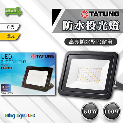 ◎Bling Light LED◎大同LED  防水戶外投光燈/投射燈 50W/100W，CNS認證，全電壓