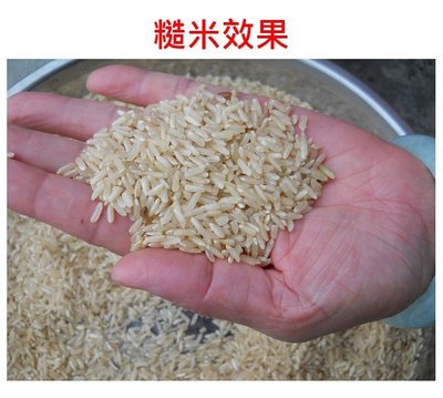 糙米機 小型家用剝殼機 碾米機 商用 礱穀機 脫殼機 綠色營養米 糙米機