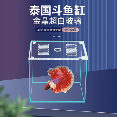 專場:斗魚超白缸桌面小型玻璃斗魚缸造景迷你生態魚缸間用魚缸