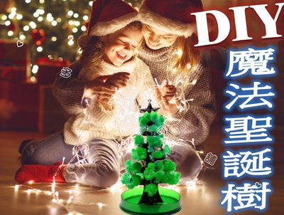 DoBo多寶小舖 DIY魔法聖誕樹 紙樹開花 結晶創意魔法樹 聖誕魔法樹 桌上型聖誕樹 聖誕節禮物 兒童小禮品 節慶裝飾