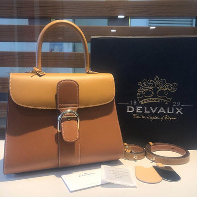 38：Delvaux brillant拼色28