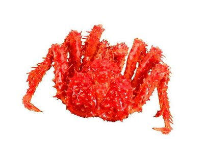 【萬象極品】帝王蟹/約2.2kg以上/隻~蟹肉鮮甜滋味讓人吮指回味 偶爾犒賞一下自己