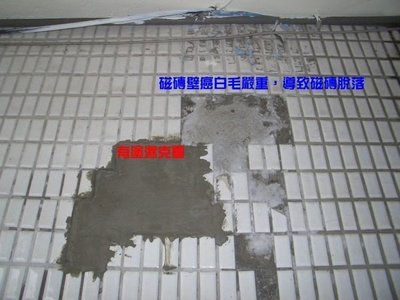 【( *^_^* ) 新盛油漆行】日本矽酸質無機質防水室內壁面潮濕壁癌滲水的剋星日本昭和電工 Ceresit DS