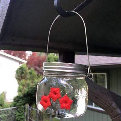 ~Hummingbird Feeder 掛式玻璃透明鳥類喂食 花朵蜂鳥喂鳥