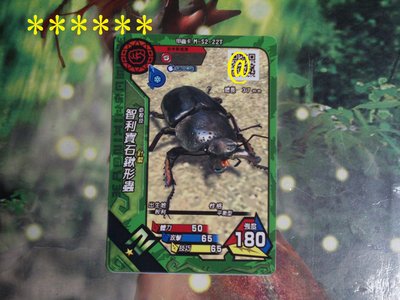 新甲蟲王者~N1星甲蟲普卡:智利寶石鍬形蟲(冰之V強化)M-S2-22T