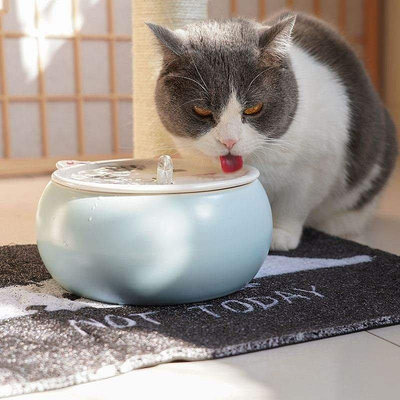 熱銷 恒溫加熱陶瓷飲水機貓咪喝熱水循環流動智能狗水碗寵物自動飲水器 可開發票