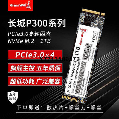 長城P300 M2固態硬碟1T/2T NVME筆電桌機電腦512G固態硬碟SSD