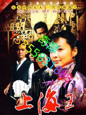 DVD 賣場 大陸劇 上海王 2008年