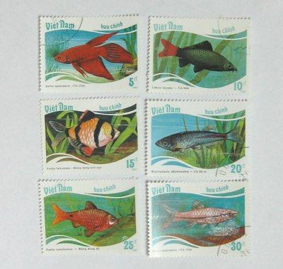 超值收藏---魚類郵票--金魚--- 6 張---越南---動植物部份---信銷票---03
