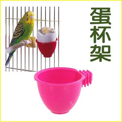 【李小貓之家】阿迷購 Amigo《蛋杯架/飼料杯/零食杯》可放蛋、水果、點心，小巧實用，中小型鳥適用