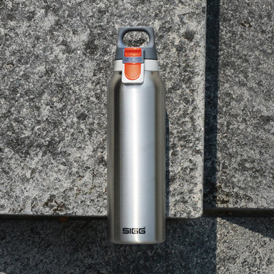 ☘小宅私物☘ 瑞士百年 SIGG 彈蓋輕量保溫瓶 550ml (霧銀) 保溫瓶 水瓶 輕量水瓶 彈蓋