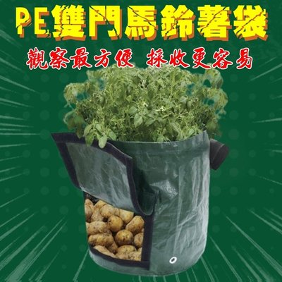 【珍愛頌】N044 PE袋 馬鈴薯種植袋(雙門) L號 花生種植袋 紅蘿蔔種植袋 番薯種植袋 根莖類種植 蔬菜種植
