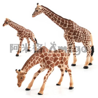 阿米格Amigo│一套3款 長頸鹿 Giraffe 仿真動物模型 科教 教學 公仔 擺設 玩具 兒童 幼兒 禮物