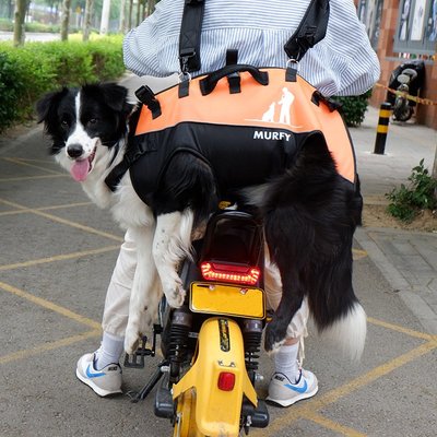 寵物中大型犬背包 多功能空降包 雙肩背帶戶外助行擔架殘疾大狗背包 寵物用品 狗用品