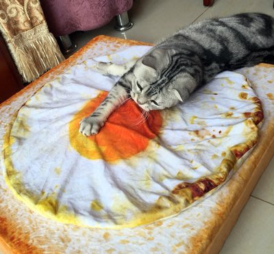 【現貨】 貓咪 仿真 荷包蛋 小被被 被子 創意 毯毯 仿真 吐司 三明治 送小魚 吐司 抱枕 娃娃 貓貓 吐司坐墊