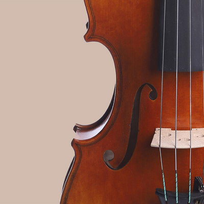 樂器意大利波拉斯特利PL1716歐料純手工小提琴樂團演出考級成人初學