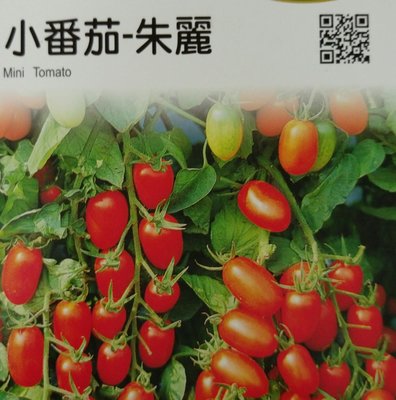 小番茄【滿790免運費】小番茄-朱麗 農友種苗 "特選蔬果種子" 每包約20粒 保證新鮮種子