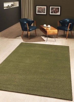 【范登伯格 】璀璨四季置身綠色環境恬靜悠閒舒適進口地毯.超低價6990元含運-160x230cm