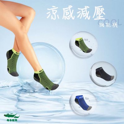 母子鱷魚 涼感減壓機能襪 剩下藍色20-24尺寸 彈力襪 男女尺寸 經銷授權-阿法.伊恩納斯 舒適 透氣 BFJ105