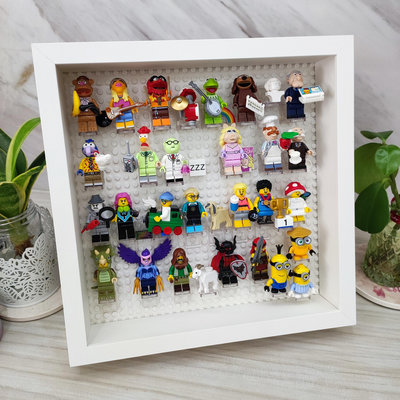 現貨 正版 LEGO 樂高 相框 展示框 展示架 收納 收納框 收納盒 公仔 人偶 71038 人偶包