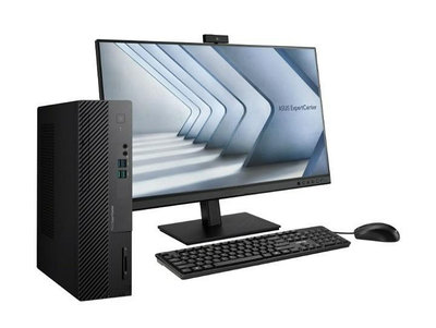 ASUS D500SE G6900 雙核心 辦公室 文書電腦 office 商用個人電腦 平躺 直立式 SFF 可提供整合規劃
