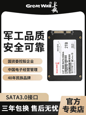 長城（Great Wall）原裝固態硬碟1TB2TB桌機機筆記高速SSD4TB全新