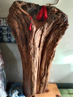 台灣紅檜木樹頭，有開聞香口