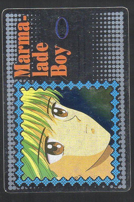 《CardTube卡族》(060829) 09 日本原裝橘子醬男孩萬變卡∼ 1994年遊戲銀閃卡