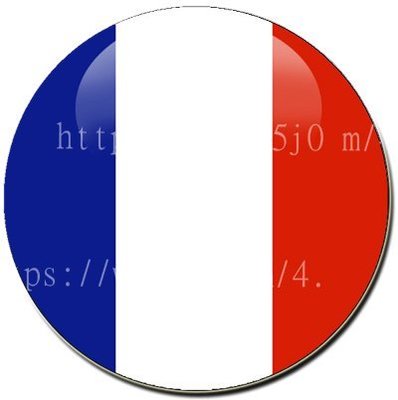 〈世界國旗〉法國 國旗 胸章