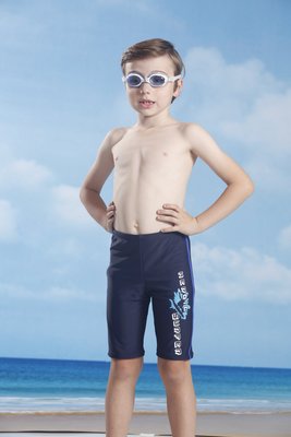 Ａ＆Ｔ【泳之美】台灣製大童七分泳褲＄原價900【2902】L.XL.2L.3L