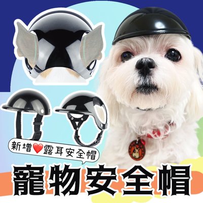 寵物造型安全帽 狗狗頭盔 貓咪頭盔 寵物頭盔