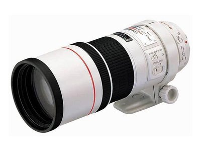 【華揚數位】☆全新Canon EF 300mm F4 L IS USM 望遠鏡頭 平輸貨