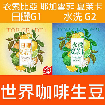 2024新產季 生豆 衣索比亞 耶加雪菲 夏茉卡 日曬 頂級 G1|紅圈計畫-世界咖啡生豆 咖啡豆 精品豆 莊園豆 生豆