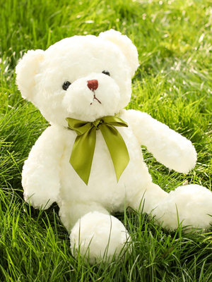 小號玩具熊公仔毛絨玩具女生白色小熊玩偶可愛抱抱熊寶睡覺布娃娃