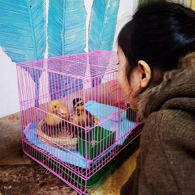 【熱賣精選】鴨子籠子 家用 小雞籠子育雛寵物科爾鴨養黃鴨子的養鵝籠子柯爾鴨