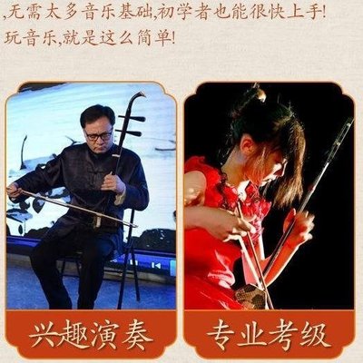 促銷打折  二胡專業紅木二胡民族樂器黑檀木考級初學蘇州大音量成人入門胡琴